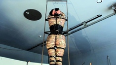 Erotic Fetish Hardcore BDSM Artwork