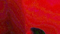 Amateur teen blowjob and cumshot from a guy