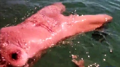 Naked Swimming MILF at the Beach