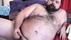 Hairy Chubby Bear Jo1