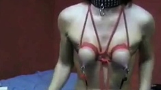 Self bondage tits play