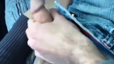 Two gays in a car
