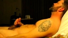 Hairy bear jacking on bed